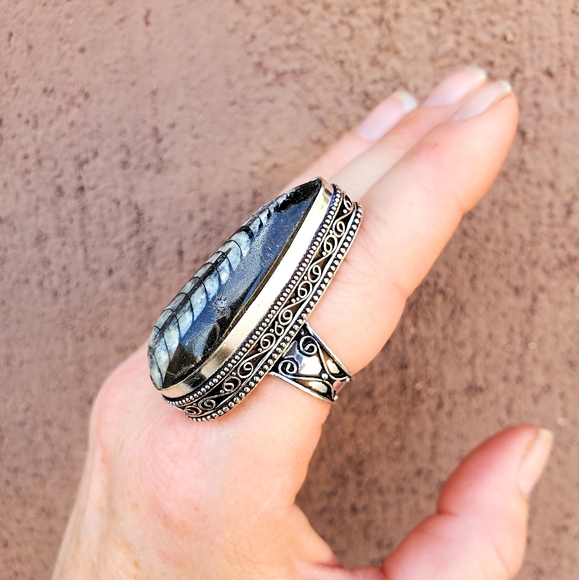 New Huge Orthoceras Fossil 925 Silver Ring. - Picture 5 of 16
